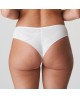 Tanga Sophora 0663181 (Bc) Prima Donna